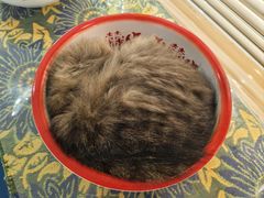 -平行世界·猫咖(首经贸店)