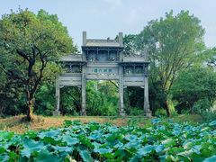 -西溪国家湿地公园