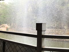 -湖洞水自然风景区