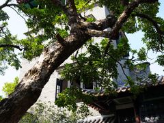 -东莞市可园博物馆