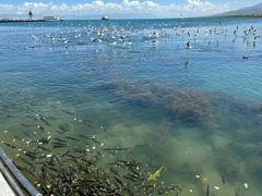 -青海湖二郎剑景区