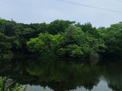 -沈阳市东陵公园