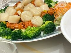 -海港酒家(上水新丰店)