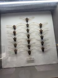 -酷嗒动物文化乐园(cutezoo西溪乐天城店)