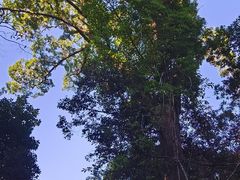 -东南悬空寺方广岩