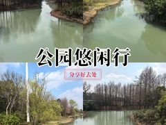 -贡湖湾湿地公园