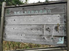 -午潮山国家森林公园