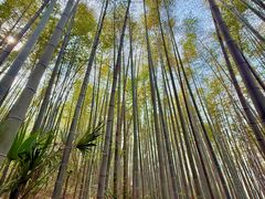 -南山风景名胜区
