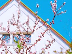 -东方之珠洗浴休闲广场(和平店)