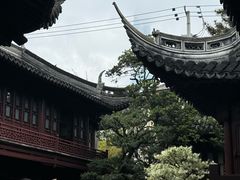 -豫园