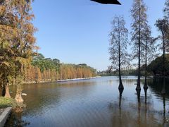 -三水森林公园