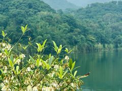 -广州市白云山风景名胜区