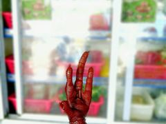 -杨姨老益阳麻辣烫(林科大店)