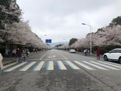 -江南大学(蠡湖校区)
