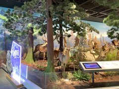 -陕西自然博物馆