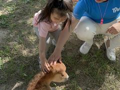 -19童学婴幼儿托育中心