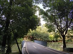 -四川广播电视台(世纪城路店)