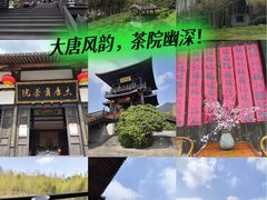 -大唐贡茶院