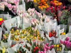 -循礼门鲜花花市(武汉循礼门店)