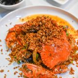 逛完三亚免税店，一定要去吃这家网红海鲜🦞