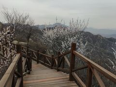 -大岭沟猕猴桃谷风景区