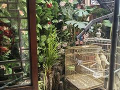 -丽江庭院·云南野生菌·海鲜火锅(鼓楼四合院店)