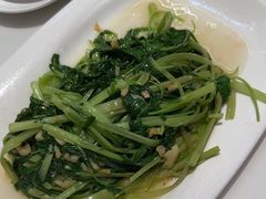 -鹅香四海·卤水火锅·砂锅粥·潮汕菜(宝安店)