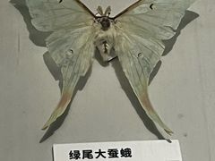 -四川大学博物馆