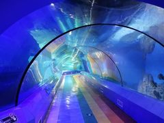-重庆欢乐海底世界