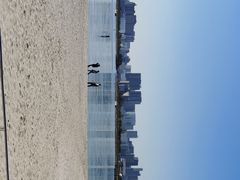 -台场海滨公园船码头