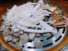 贝壳拼盘-海博汇蒸汽海鲜