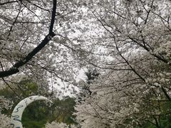 -杭州少年儿童公园