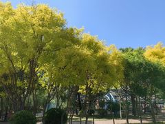 -欢乐水魔方水世界