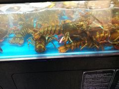 水产区-盒马鲜生(王府广场店)