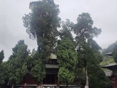 -报恩寺(平武县)