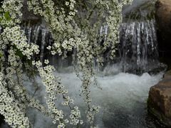 -中国茶叶博物馆(双峰馆区)
