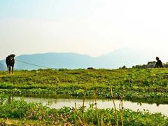 -大姆山草场