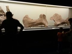 -世界恐龙谷景区