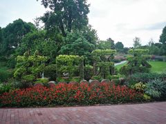 -铁山坪森林公园