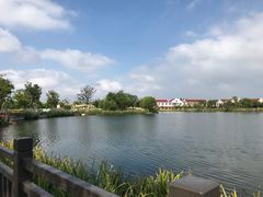 -上海长兴岛郊野公园