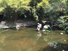 -汇龙潭