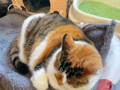 -浅行深作咖啡坊