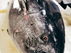 -Mr·Fish鱼鲜生海鲜放题(银泰in99店)