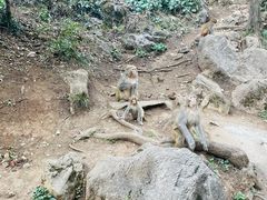 -黔灵山公园