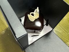 -BLACKSWAN黑天鹅(环球店)
