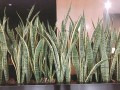 -中国工商银行(杭州西溪紫霞街支行)