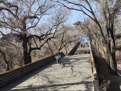 -沈阳市东陵公园