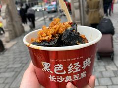-黑色经典臭豆腐·湖南特产(坡子街店)