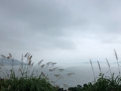 -小皓村