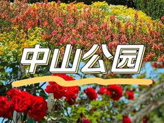 -中山公园